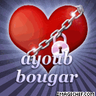ayoub